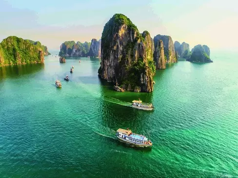 Trong nước