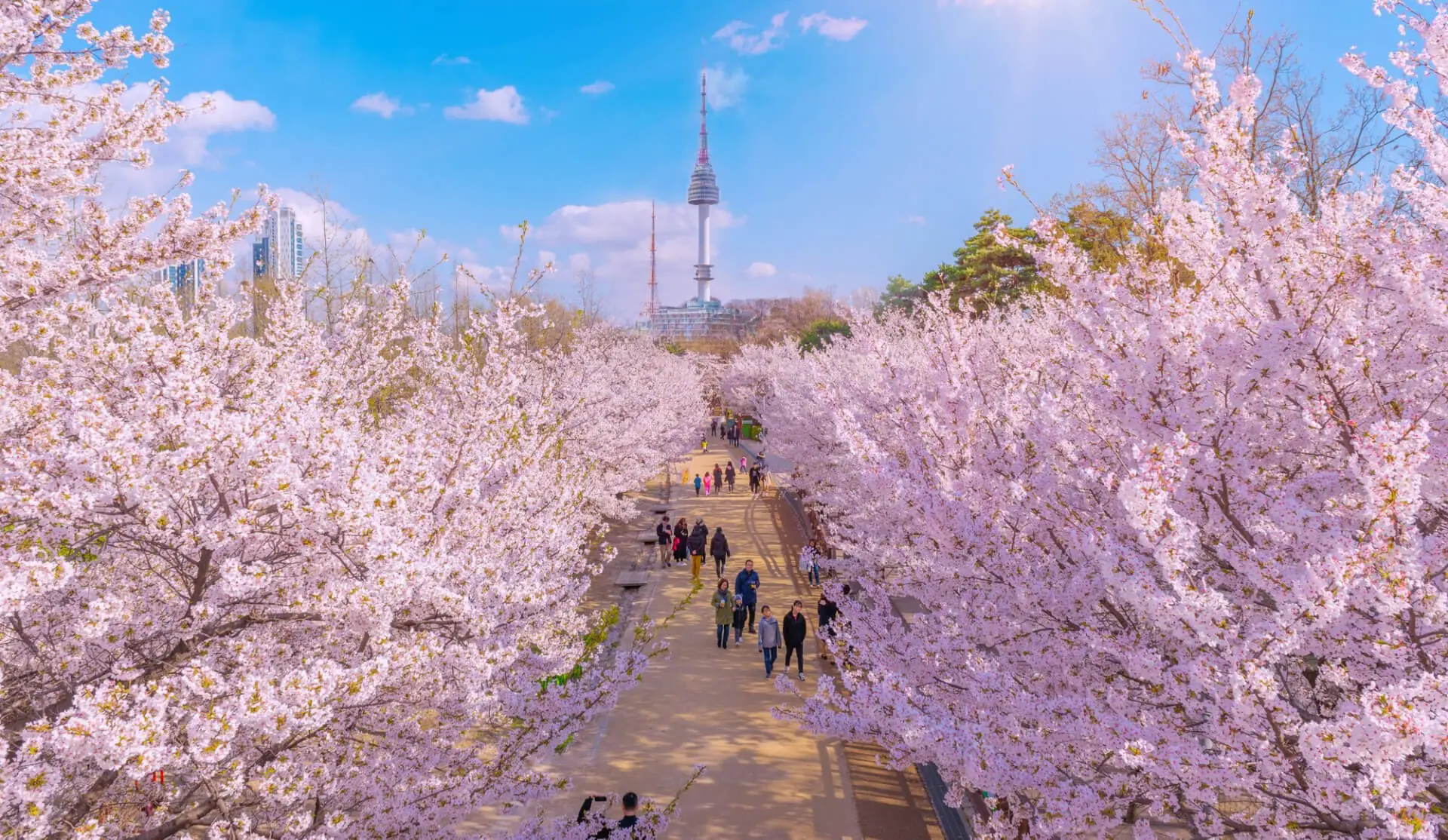 SEOUL – NAMI – CÔNG VIÊN LOTTE WORLD