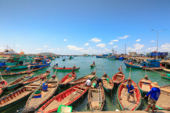 Trong nước